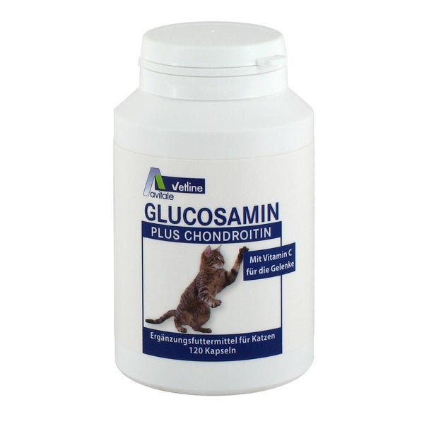 Avitale vetline Glucosamin + Chondroitin Katzen 120 St