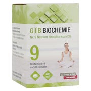 GIB Biochemie Nr.9 Natrium phosphoric.D 400 St