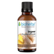 Bioherba Ingwer Zingiber officinale Tropfen Tinktur 50 ml