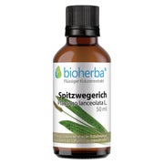 Bioherba Spitzwegerich Plantago lanceolata L. Tropfen Tinktur 50 ml
