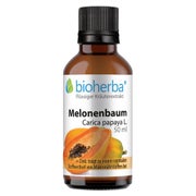 Bioherba Melonenbaum Carica papaya L. Tropfen Tinktur 50 ml
