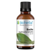 Bioherba Buchu Agathosma betulina Tropfen Tinktur 50 ml