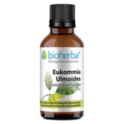 Bioherba Eukommia Ulmoides Tropfen Tinktur 50 ml