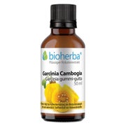 Bioherba Garcinia Cambogia Garcinia gummi-gutta  Tropfen Tinktur 50 ml