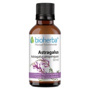 Bioherba Astragalus Astragalus propinquus Tropfen Tinktur 50 ml
