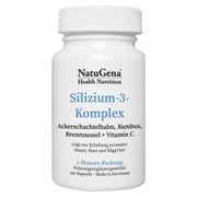 Silizium-3-komplex Vitamin C Hochdosiert Vegan Kps 120 St
