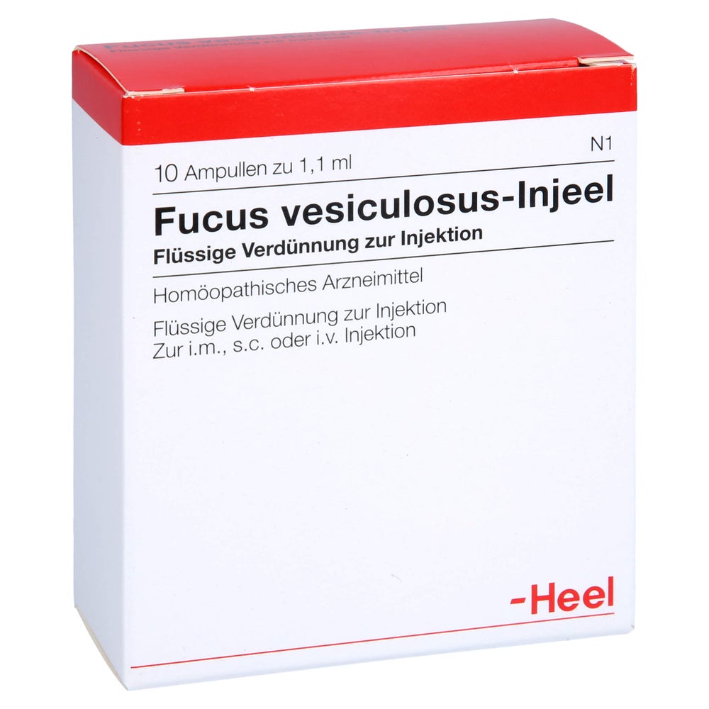 Fucus Vesiculosus Injeel Ampullen 10 St