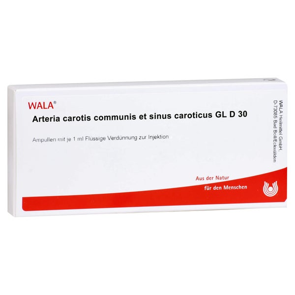 Arteria Carotis Communis et sin.carot.GL 10X1 ml