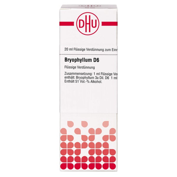 Bryophyllum D 6 Dilution 20 ml