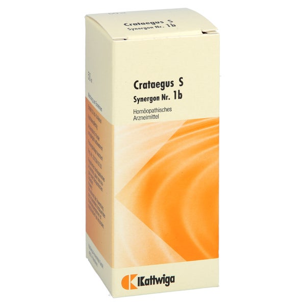 Synergon Komplex 1b Crataegus S Tropfen 50 ml