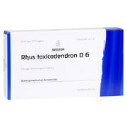 Produktabbildung: RHUS Toxicodendron D 6 Ampullen 8X1 ml