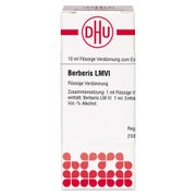 Berberis LM VI Dilution 10 ml