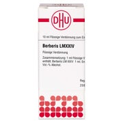 Berberis LM XXIV Dilution 10 ml