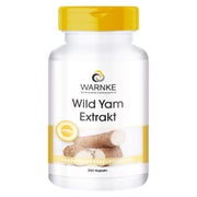 Produktabbildung: WILD YAM Extrakt Kapseln 250 St
