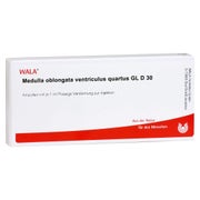 Medulla Oblongata Ventriculus quartus GL 10X1 ml