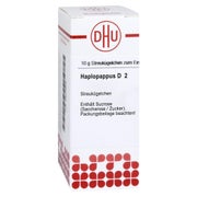 Haplopappus D 2 Globuli 10 g