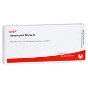Iscucin pini Stärke H Ampullen 10X1 ml