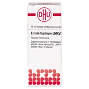 Lilium Tigrinum LM XVIII Dilution 10 ml
