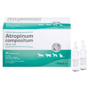 Atropinum Compositum ad us.vet.Ampullen 50 St