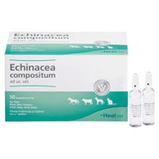 Echinacea Compositum ad us.vet.Ampullen 50 St