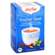 YOGI TEA Frischer Geist Bio Filterbeutel 17X1,8 g