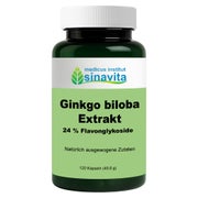Ginkgo Biloba Extrakt 24% Flavonglykosid 120 St