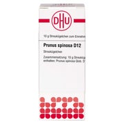 Prunus Spinosa D 12 Globuli 10 g