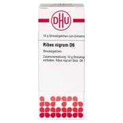 Ribes Nigrum D 6 Globuli 10 g
