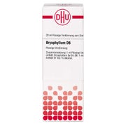 Bryophyllum D 6 Dilution 20 ml