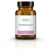 Arabinogalactan Kapseln 24 g