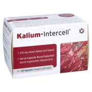 Kalium-intercell Magensaftresistente Hartkapseln 60 St