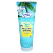 Dresdner Essenz Aroma-booster Dg Tag Am Meer 250 ml