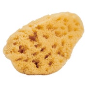 Theraphango Naturschwamm Für Gesicht 1 St